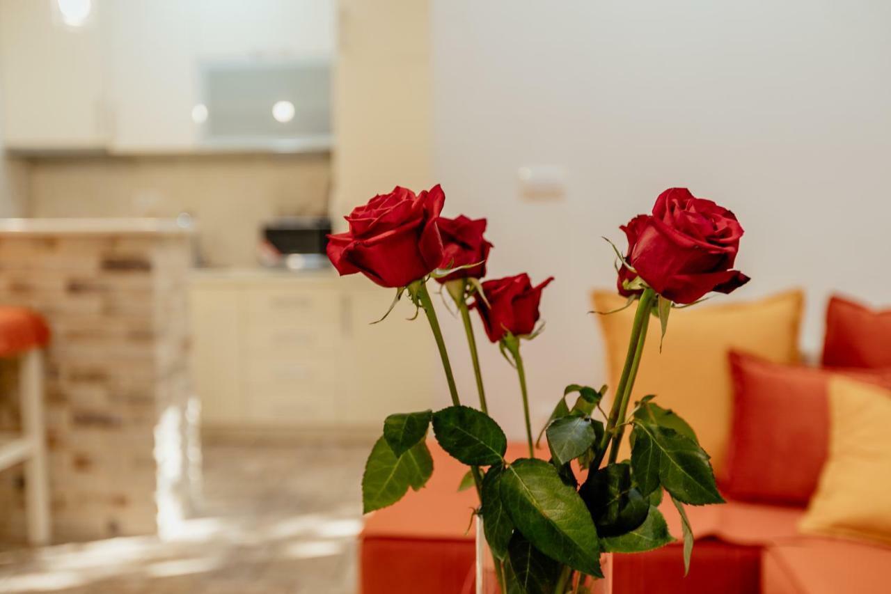 Bobana Apartments Donji Morinj Eksteriør bilde